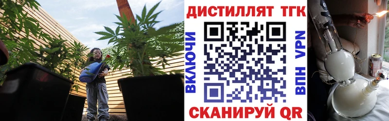 закладка  Чегем  Дистиллят ТГК концентрат 