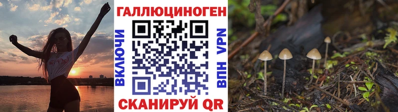 Галлюциногенные грибы Cubensis  Чегем 